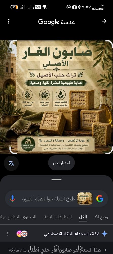 Aleppo laurel soap_thumbnail_0
